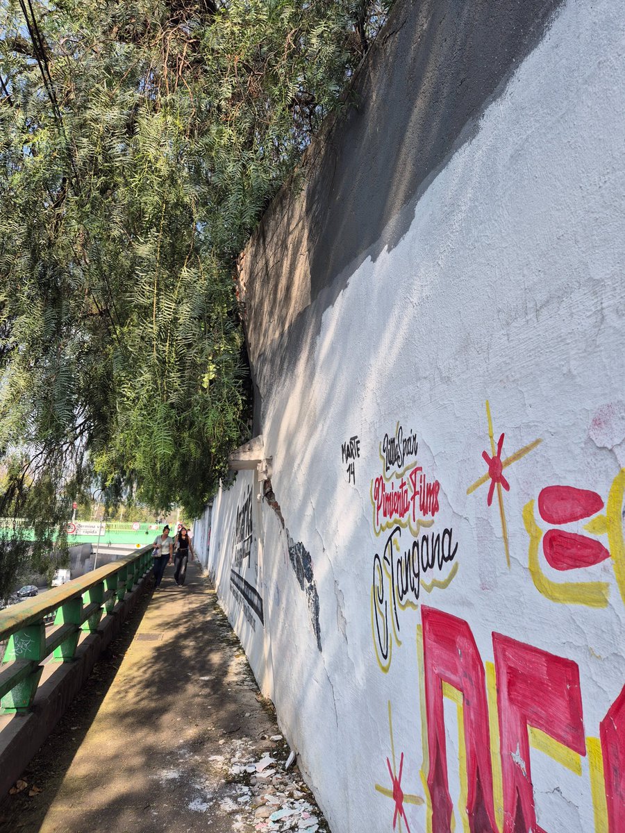 Denuncio_queja's tweet photo. @MHcesac @MHPrevencion BARDA A PUNTO DE CAER, YA LLEVA VARIAS SEMANAS,  ES UN VERDADERO PELIGRO y @AlcaldiaMHmx NO ATIENDE ESTA SITUACION. Av. Constituyentes # 245 frente al hospital de oftalmología. @telediario @basta https://t.co/sU5oyAtEoS