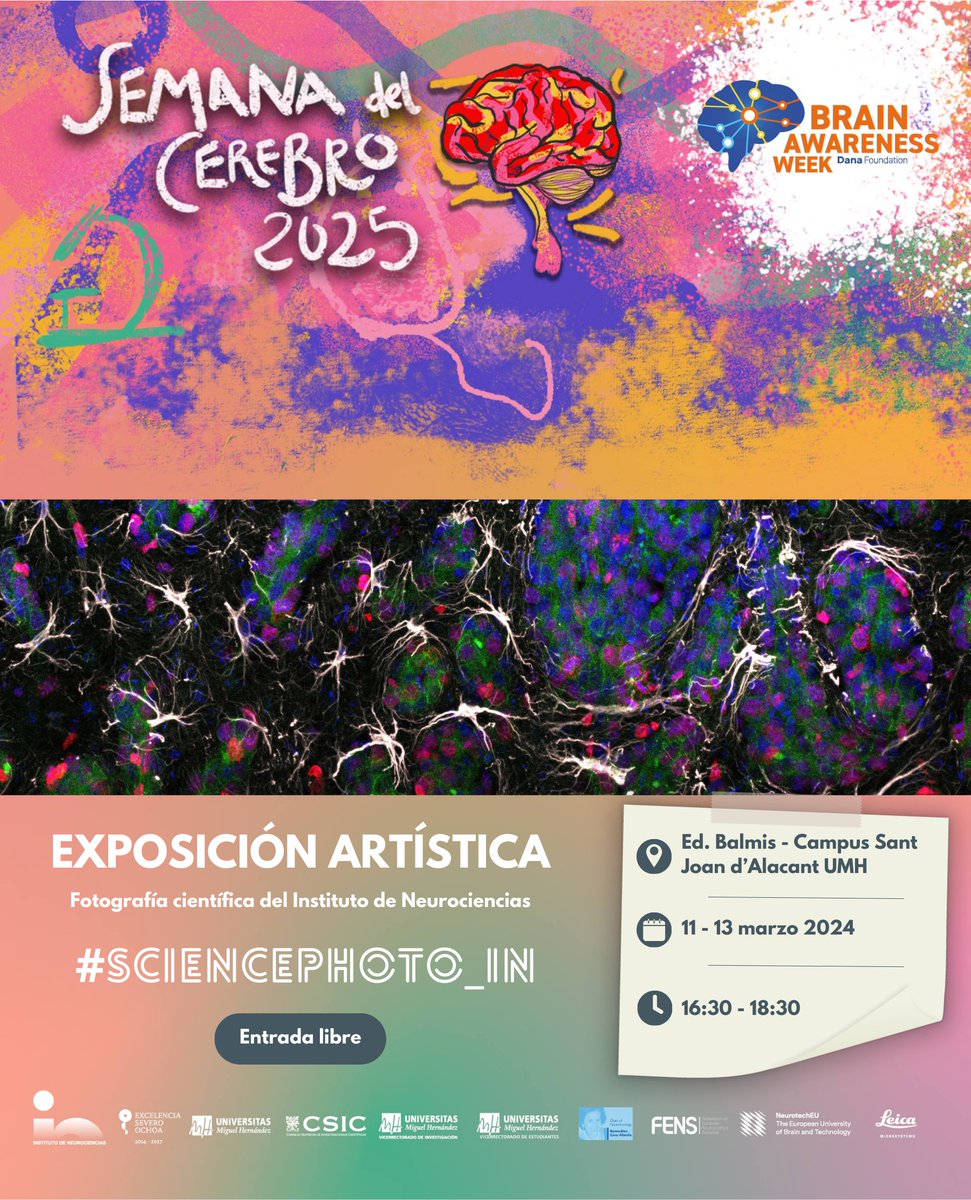 SemanadelCerebroALC (@baw_alicante) on Twitter photo Además de nuestros talleres, si nos visitas podrás ver tres exposiciones 👇La exposición artística #ScienciencePhoto_IN se compone de las mejores fotografías que han participado en el concurso de fotografía científica del
<a href="/NeuroAlc/">Instituto de Neurociencias UMH-CSIC</a> Además de nuestros talleres, si nos visitas podrás ver tres exposiciones 👇La exposición artística #ScienciencePhoto_IN se compone de las mejores fotografías que han participado en el concurso de fotografía científica del
<a href="/NeuroAlc/">Instituto de Neurociencias UMH-CSIC</a>