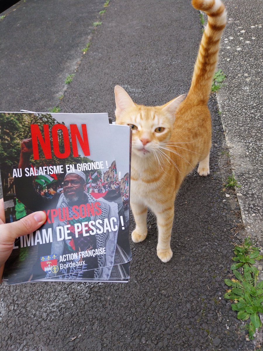 Action Française - Bordeaux tweet media