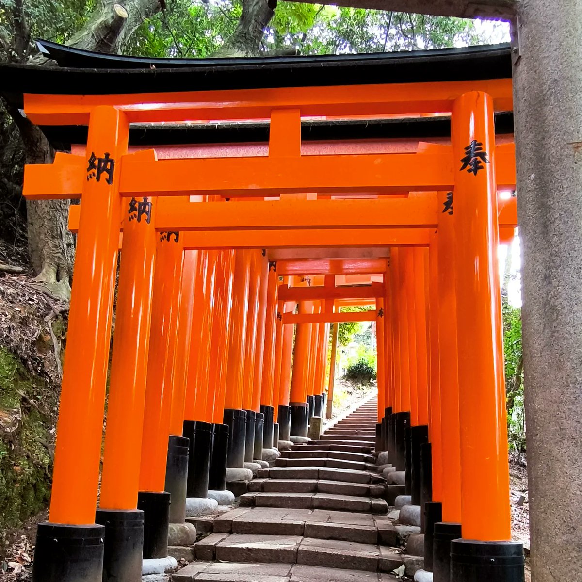 Publicado en Vagamundos el primer diario sobre Japón, y como no podía ser menos versa sobre la antigua capital del pais, con el título Kioto: Donde el tiempo se viste de seda y los templos susurran secretos
 vagamundos.com/kioto-donde-el…