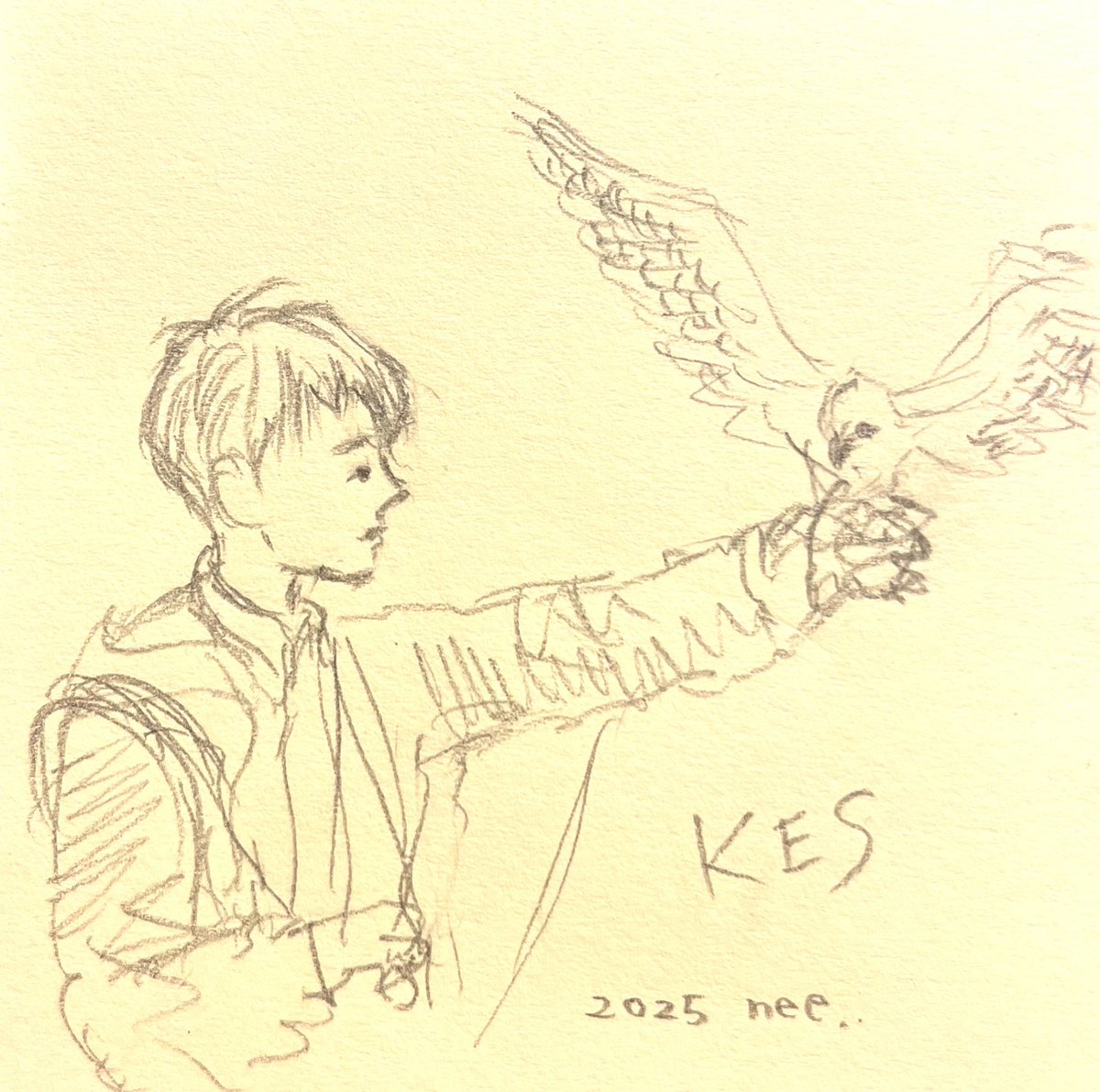 cybele70's tweet photo. 今晩はテレビが空いたので久しぶりに映画を。
60年代頃のイギリスの少年達をイラストに描きたいので、昔、友人が好きだと話していたケン・ローチ監督『ケス』を。ビリー少年がハヤブサを呼ぶ声がまだ頭に響いています。そして、この映画を彼女が大切にしている理由を少しだけ知れたような気がします。 https://t.co/N1baZGlg7J