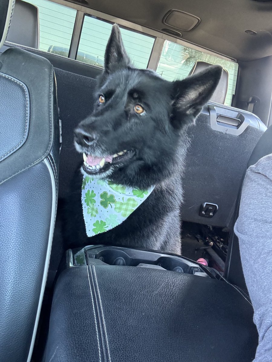 Start an early for St. Patrick’s Day