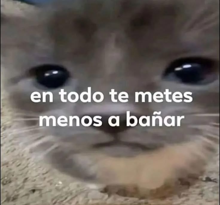 GlxmourQueen's tweet image. 