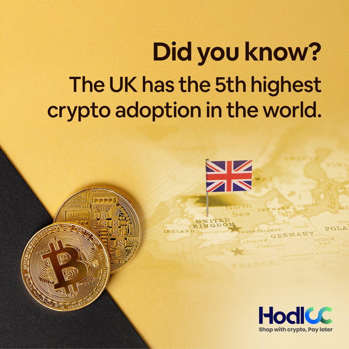 HodlCC tweet media