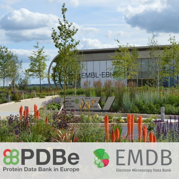 Protein Data Bank (@pdbeurope) on Twitter photo 🚀 Exciting Opportunity 🚀
Do you have a passion for structural biology?
We're hiring at <a href="/PDBeurope/">Protein Data Bank</a>! 🌟
Apply now to help annotate biological data 💻 🔬
🔗 embl.wd103.myworkdayjobs.com/en-US/EMBL/det…
Closing date: April 6, 2025
#JobOpening #StructuralBiology #Bioinformatics #ScienceJobs 🚀 Exciting Opportunity 🚀
Do you have a passion for structural biology?
We're hiring at <a href="/PDBeurope/">Protein Data Bank</a>! 🌟
Apply now to help annotate biological data 💻 🔬
🔗 embl.wd103.myworkdayjobs.com/en-US/EMBL/det…
Closing date: April 6, 2025
#JobOpening #StructuralBiology #Bioinformatics #ScienceJobs