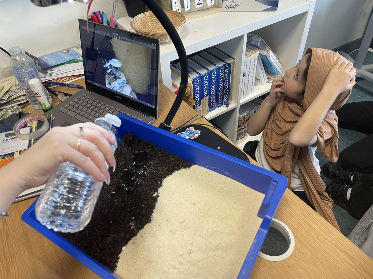 Foxfield - Year 4 tweet media