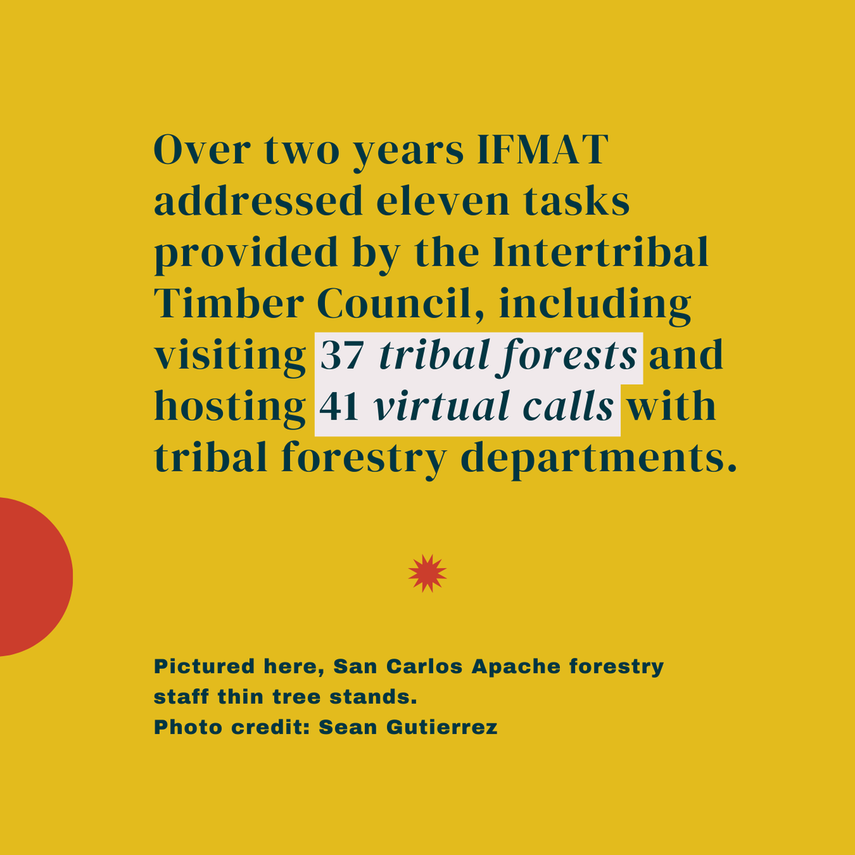 Intertribal_TC's tweet image. Exploring Tribal Forests: San Carlos Apache Tribe  The Indian Forest Management Assessment Team toured 37 tribal forests, including meeting with the San Carlos Apache Tribe in August 2022. Read the full IFMAT IV report: online.flippingbook.com/view/719646412/ #IFMATIV #IndianCountry