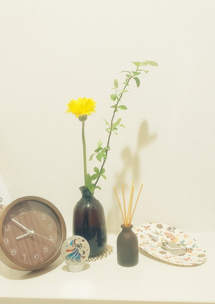 YWer_TKD's tweet photo. 玄関に少しの花を
家を出るとき
ふっと、新しい気持ちになれるから
家に着いたとき
ふぅっと、柔らかい気持ちになれるから
春は淡く
夏は濃い
秋は彩り
冬は強い
儚くも逞しい姿が好きなんだなぁ
お花屋さんで交わす一言二言も、好きいなんだなぁ
#shinydrop https://t.co/Uaccwx8DYx