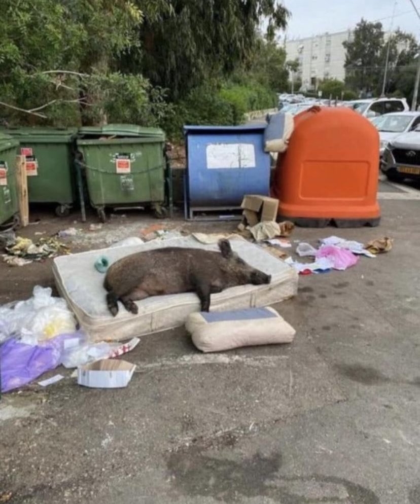 yo cuando voy un poco perjudicado acabo así