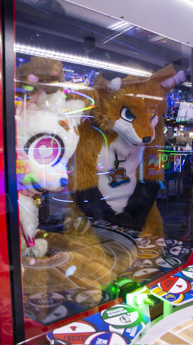 foxopfurs's tweet image. Dave & Busters meetup ๐น
๐ธ - KermaTheFolf
#furry #fursuit