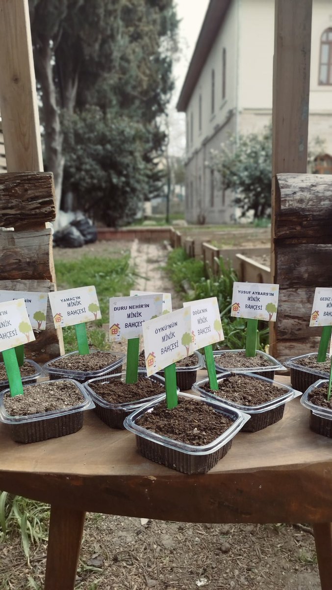 Bugün günlerden Tohumum Büyüyor Etkinliği 🍀🌟 Gelişim bahçesinde öğretmenimiz bizlere Minik Tohumun rüzgarda savrulduktan sonra başına neler geldiğini anlattı. 📒 Çeşitli tohumları inceledik.Ardından kendi tohumlarımızı ekerek minik bahçemizi oluşturduk. 🌳 <a href="/catalca_mem/">Çatalca İlçe Millî Eğitim Müdürlüğü</a>