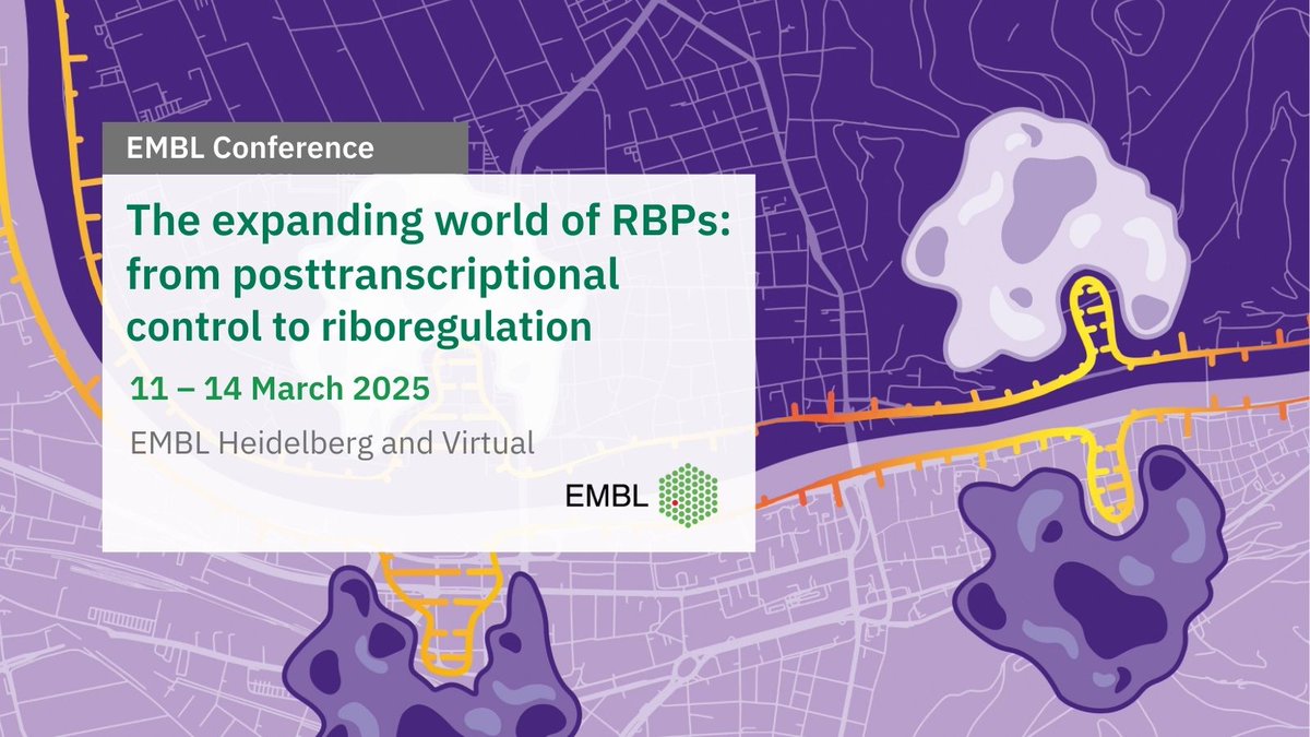 FEBS_Letters's tweet photo. Today at the #EMBLRBP meeting,
🍔🥤'Meet the Editors' over lunch!
🤝Come say ‘Hi’ and find out about FEBS Letters and not-for-profit #SciencePublishing!
We look forward to meeting you! 😃

#RNAbindingproteins 
@EMBLEvents @EMBLHeidelberg https://t.co/CGEZ0wzXxM