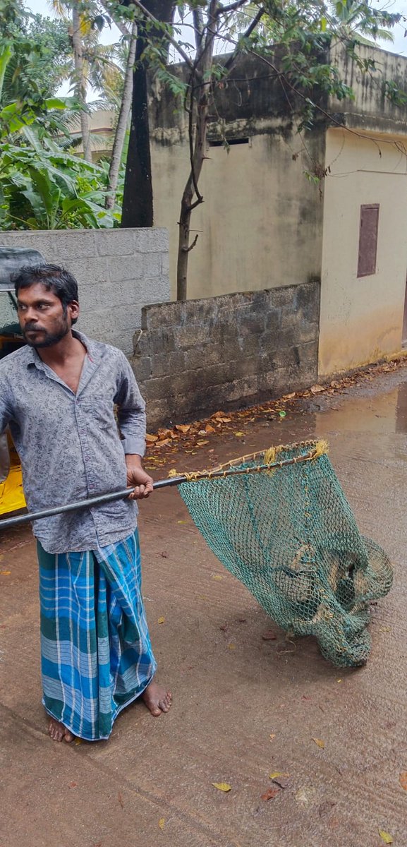 நகர்மன்ற தலைவர் மற்றும் ஆணையாளர் அவர்களின் உத்தரவின்படி, சுகாதார ஆய்வாளர் அவர்களின் வழிகாட்டுதலின்படி,நகராட்சிக்குட்பட்ட  21 வார்டுகளில் இருந்தும் 31 தெரு நாய்கள் பிடிக்கப்பட்டு ஜீவ காருண்யா விலங்குகள் நல அறக்கட்டளைக்கு கருத்தடை அறுவை சிகிச்சை செய்வதற்காக அனுப்பிவைக்கப்பட்டது.