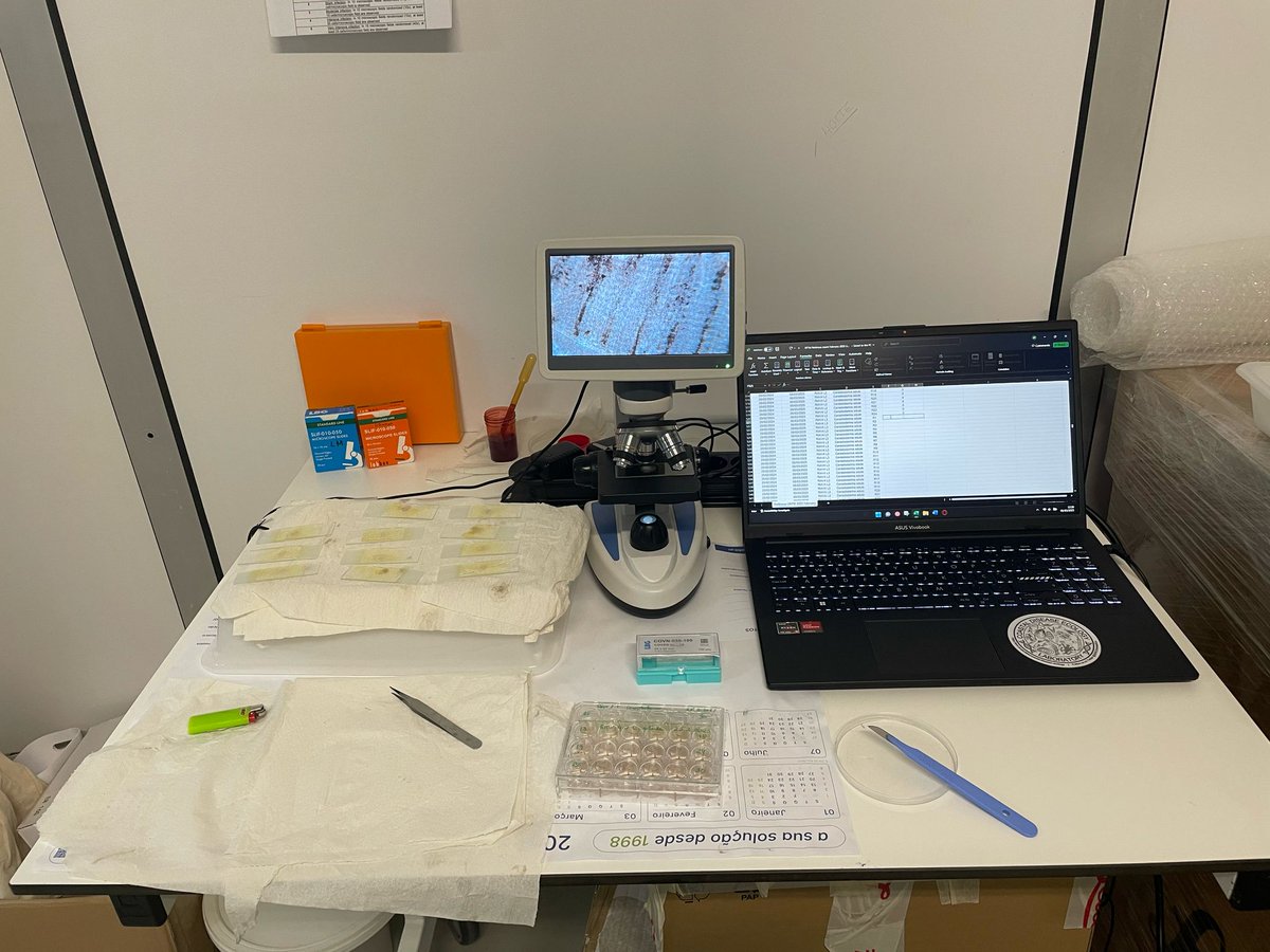 We disappeared, but we're back! We recently finished mega-campaign 2.0 🥳. Now we'll have data during colder seasons of the year, so we can compare it with last year's mega-campaign (summer). We analyzed several bivalves 🦪 for the presence of Perkinsus spp. e trematodes 🪱