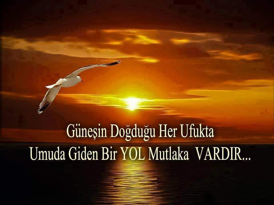 Hayatta en güzel olan şey değerini bilen birine denk gelmektir .#ElonMusk #MileiEstafador #LYKN #水曜日のダウンタウン #stockmarketcrash