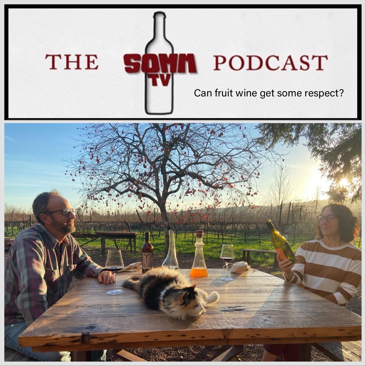 Brand new <a href="/sommtv/">SOMM TV ®</a> podcast is live!  

Can fine wine be made with more than just grapes?  Today we speak to esteemed Napa winemakers Steve and Jill Matthiasson about the oldest and possibly most under appreciated kind of wine.

Listen here:  podcasts.apple.com/us/podcast/som…