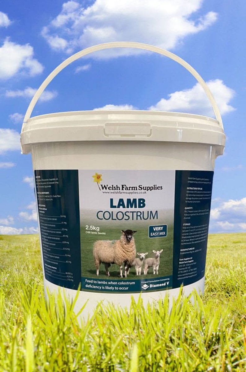 FarmWelsh's tweet image. #WelshFarmSupplies #SheepAndCattleDrench #thedaffodilisrising #littleandoften #eweturnpodcast  #smallbusinessesstickingtogether #notjustforwales #WorksEverywhere #wholelambcolostrum #lambdefender