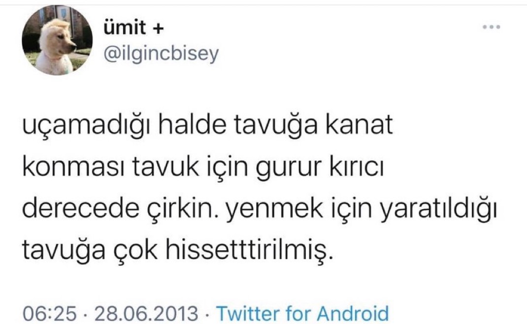 Alnı Öpülesi Tivitler (@alniopulesitivt) on Twitter photo 