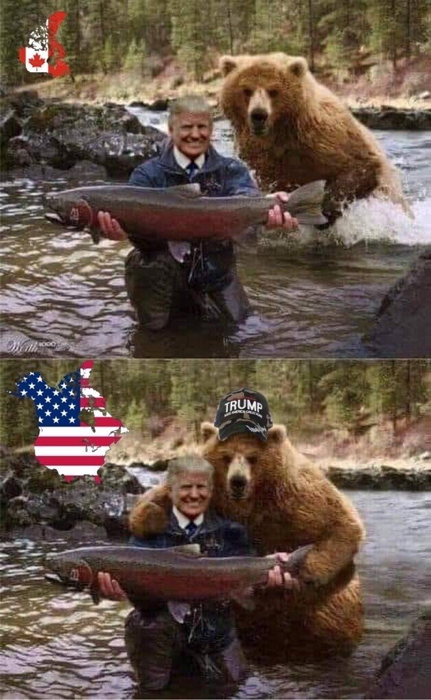 Nancy USA Alberta 🇺🇸 tweet media