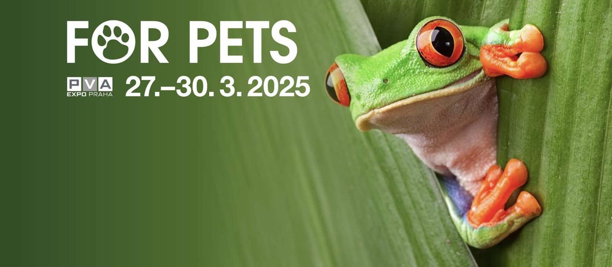 PNP_zs's tweet image. Potkejte nás na For Pets! 🐾

Najdete nás na veletrhu For Pets v Letňanech, kde nákupem podpoříte pejsky i kočičky v naší péči. 🐶🐱

📍 Praha – Letňany
📅 27.-30.3.2025

Těšíme se na vás! 💙

#ForPets #PomáhámeZvířatům #Adopce #PesNejvěrnějšíPřítel