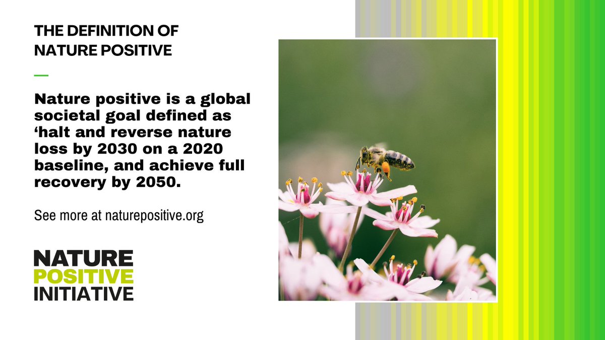 We've officially joined the Nature Positive Forum, a global community dedicated to halting &amp; reversing biodiversity loss by 2030. We commit to upholding the Global Goal for Nature &amp; contributing to measurable, science-based actions that restore &amp; protect our planet’s ecosystem 🌎