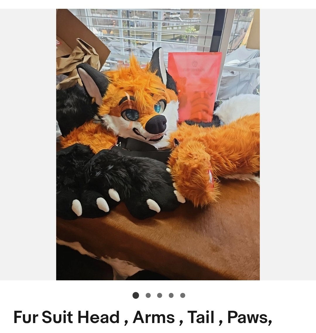 SyraWolf tweet media