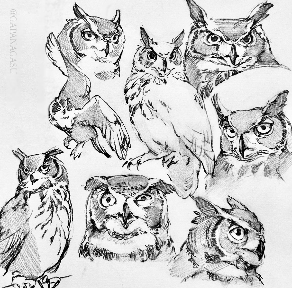 ミナミ/ Minami (@gapapanopa) on Twitter photo 