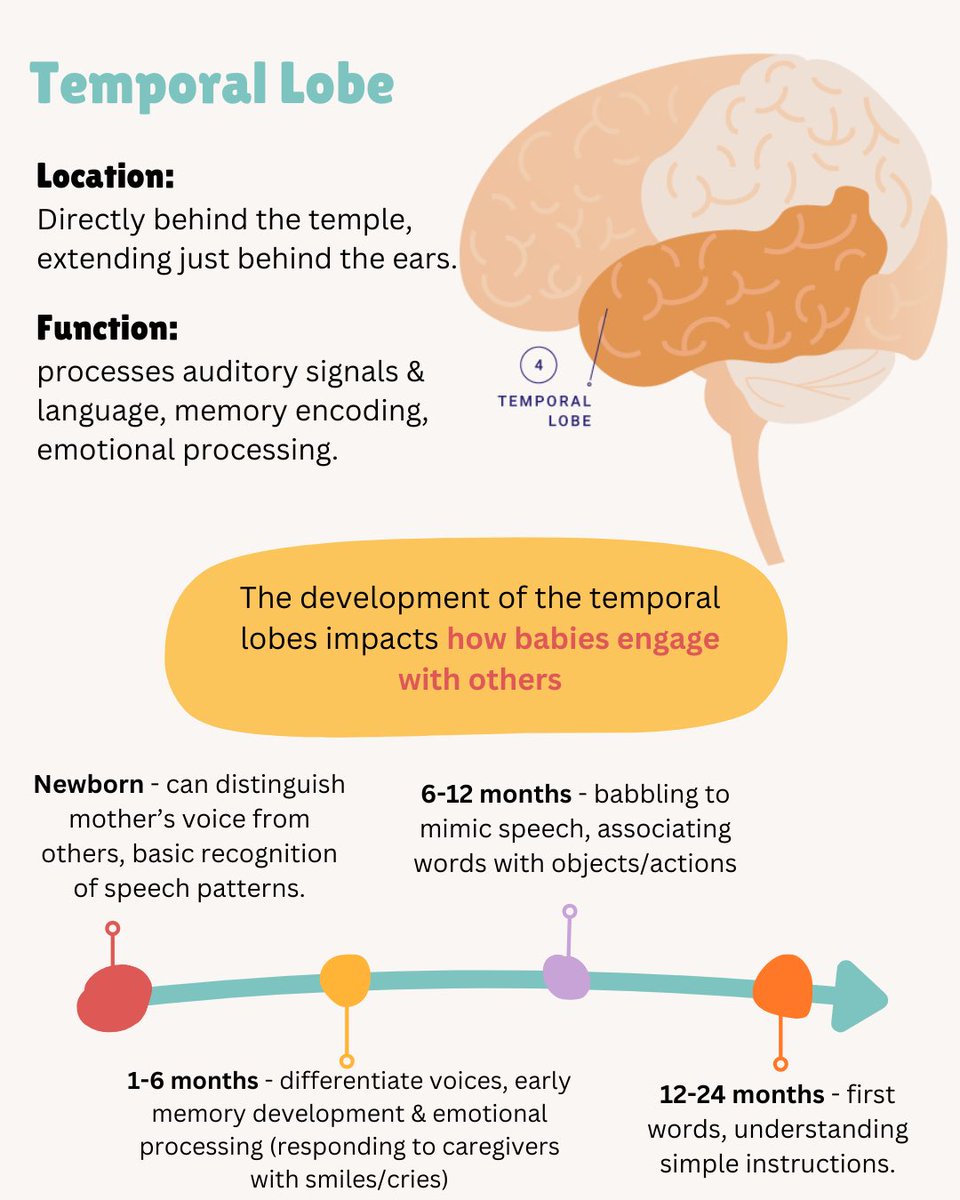 UCD Babylab tweet media