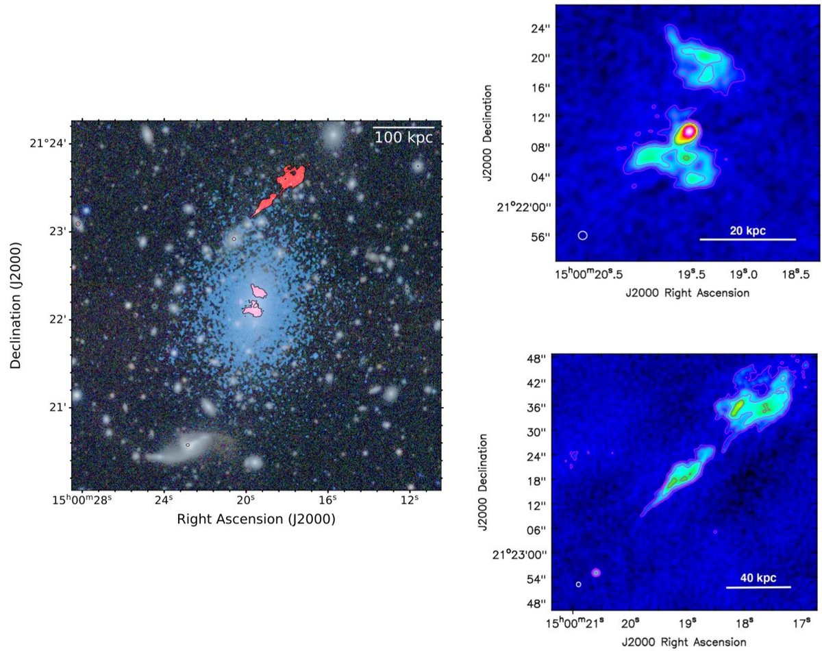 #paperday: AGN feedback in Hα-luminous galaxy clusters, by Fornasiero+ (a graduated master's student I had the pleasure of supervising!). This Chandra+JVLA analysis of A2009 completes the in-depth study of a list of X-ray &amp; Hα bright clusters, see arxiv.org/abs/2503.07781
