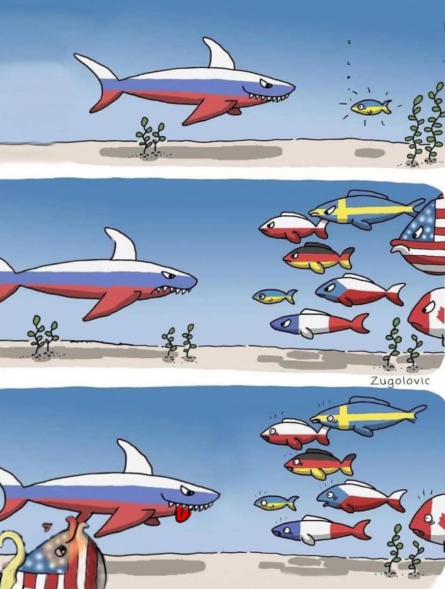 It's been updated. Appropriately.