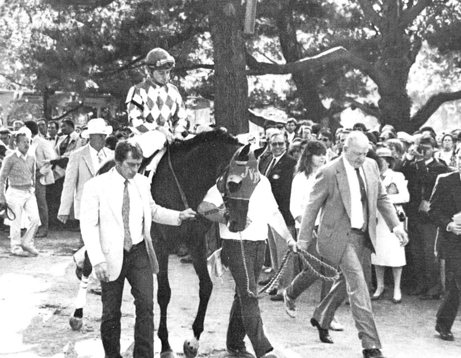 HORSERACING1002's tweet photo. ALYSHEBA๐บ๐ธ1984
(ALYDAR - BEL SHEBA BY LT. STEVENS)
#Alysheba
B/Preston Madden (Ky) Mar 3, 1984
O/ Clarence Scharbauer
T/ Jack Van Berg
KEEJUL $500,000
26-11-8-2---$6,679,242
1987 Champion ๐ 3yo Colt.
1988 Champion ๐ Older horse and Horse of the year.
Kentucky Derby G1, Preakness S G1, Super Derby G1, Breeder's Cup Classic G1, Santa Anita H G1, Woodward H G1, Meadowlands Cup G1, Charles H. Strub H G1, Philip H. Iselin H G1, San Bernardino H G2.
2nd Hollywood Futurity G1, Breeder's Futurity G2, In Memoriam S, Breeder's Cup Classic G1, Haskell Invitational H G1, San Felipe H G1, Hollywood Gold Cup G1.
3rd Breeder's Cup Juvenile G1, Blue Grass S G1.
NTR Belmont 10f 1,59,โ
.
NTR Meadowlands 10f 1,58,โ
.
Stood at Lane's End Farm๐บ๐ธ, Janadriyah Stud ๐ธ๐ฆ, pensioned at the Kentucky Horse Park.
Sired 442 foals, 206 winners, 16 sw, Alywow, Moonlight Dance, Desert Waves, Alyshena, Bright Moon, Naninja, Ski World, Smiling Hunt,
Died Mar 27, 2009