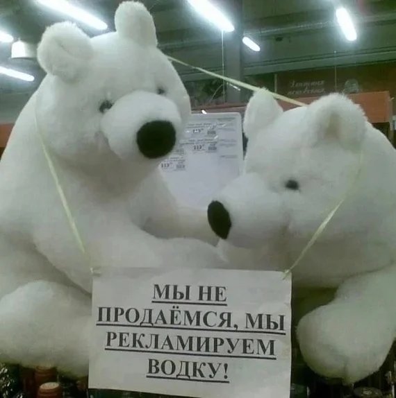 Стена говорит (@stenagovorit) on Twitter photo 