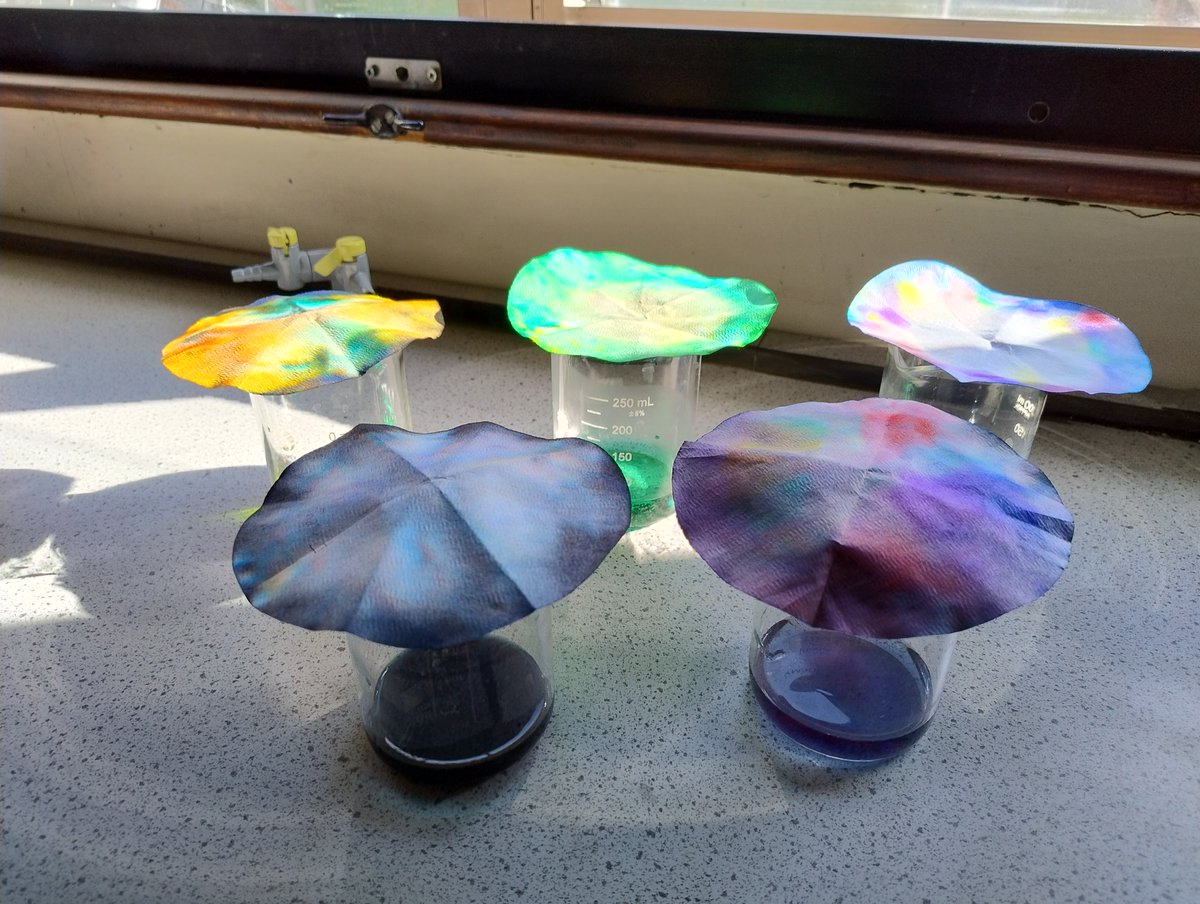 We had the pleasure of welcoming the wonderful students from Old Buckenham Primary to OBHS, where they explored "Change &amp; Adapt" theme through engaging science practical. They also created stunning chromatography. Here are some highlights from their practical #OBHS #ScienceWeek
