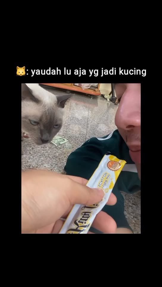 DANK ANIMAL IMAGES (@parasatwa) on Twitter photo 