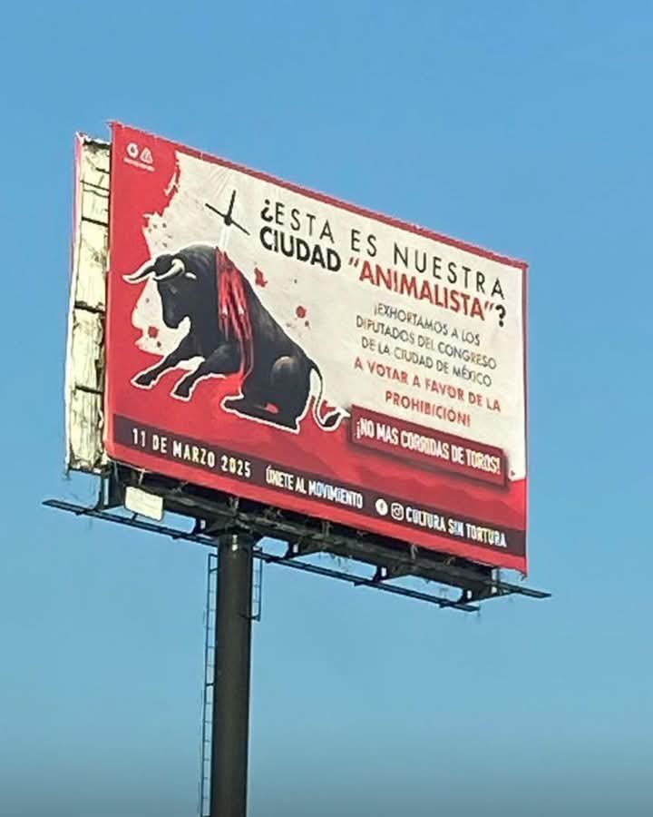 Oigan, se sabe que el <a href="/partidoverdemex/">Partido Verde</a> está financiando a sus amigos los #Pseudoanimalistas contra la #Tauromaquia  

Ojalá nos pudieran contar cuánto se gastaron en estos espectaculares, porque ese dinero es de nuestros impuestos #CDMXTaurina  

<a href="/ClaraBrugadaM/">Clara Brugada Molina</a> <a href="/ChuchoSesmaPVEM/">Jesús Sesma</a>
