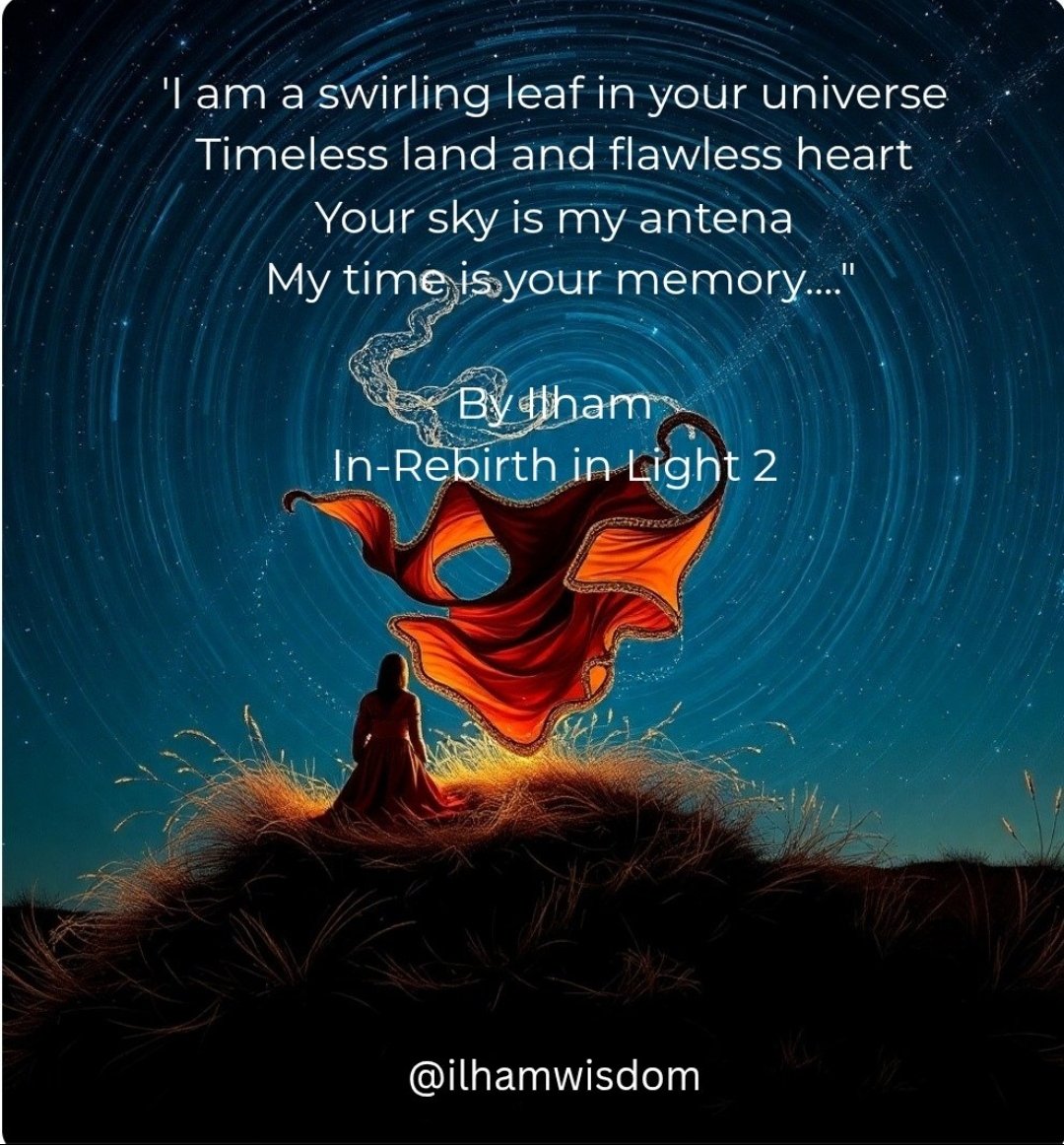 Ilham Wisdom tweet media