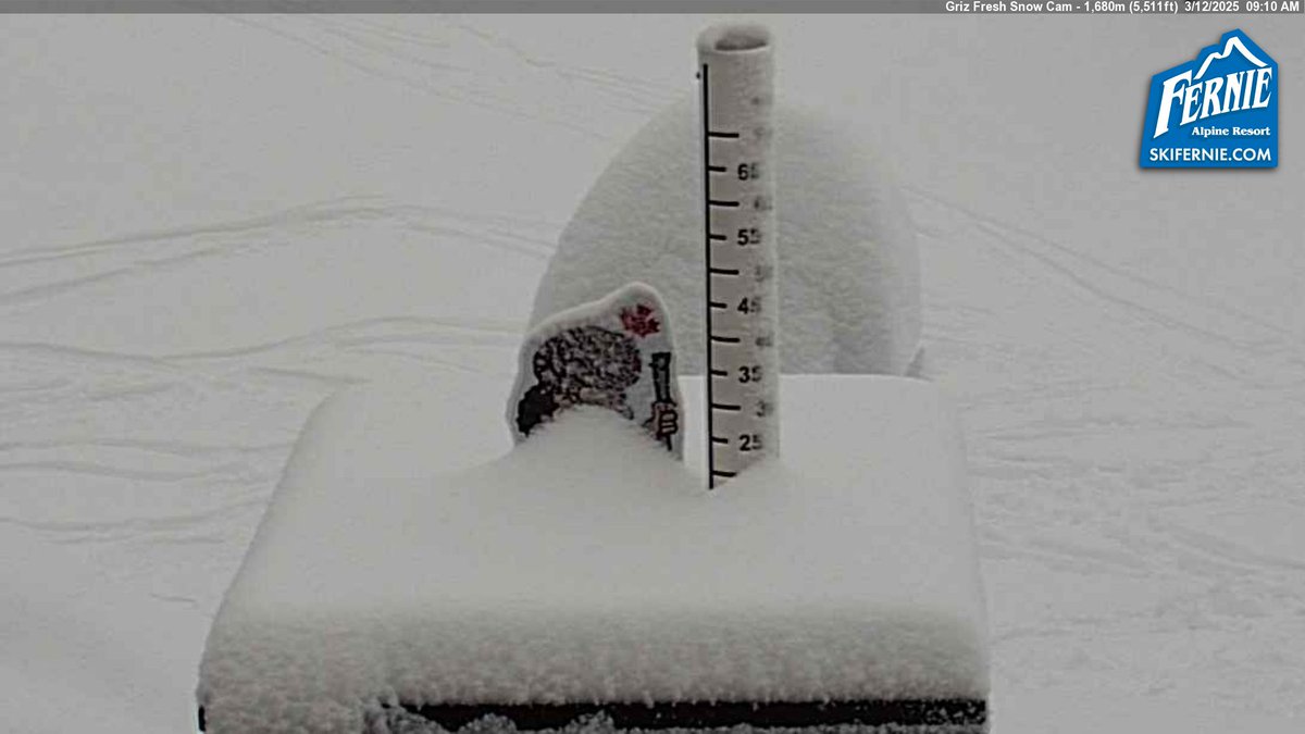 Powder day incoming at <a href="/SkiFernie/">Fernie Alpine Resort</a> See more webcams and snow reports at onthesnow.com, or on our app.