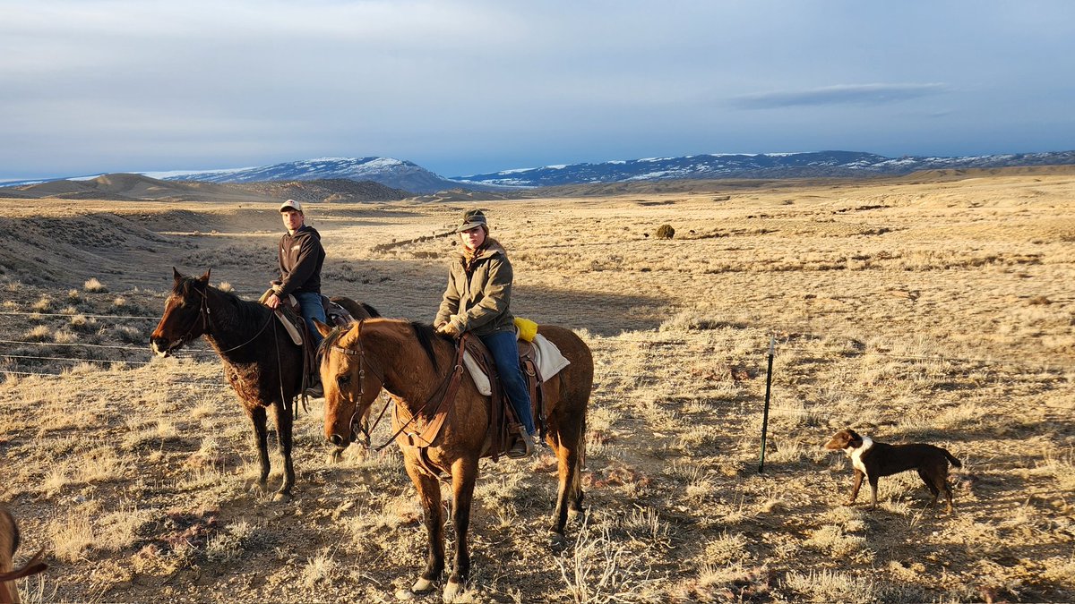 Home-raised help is the best help.