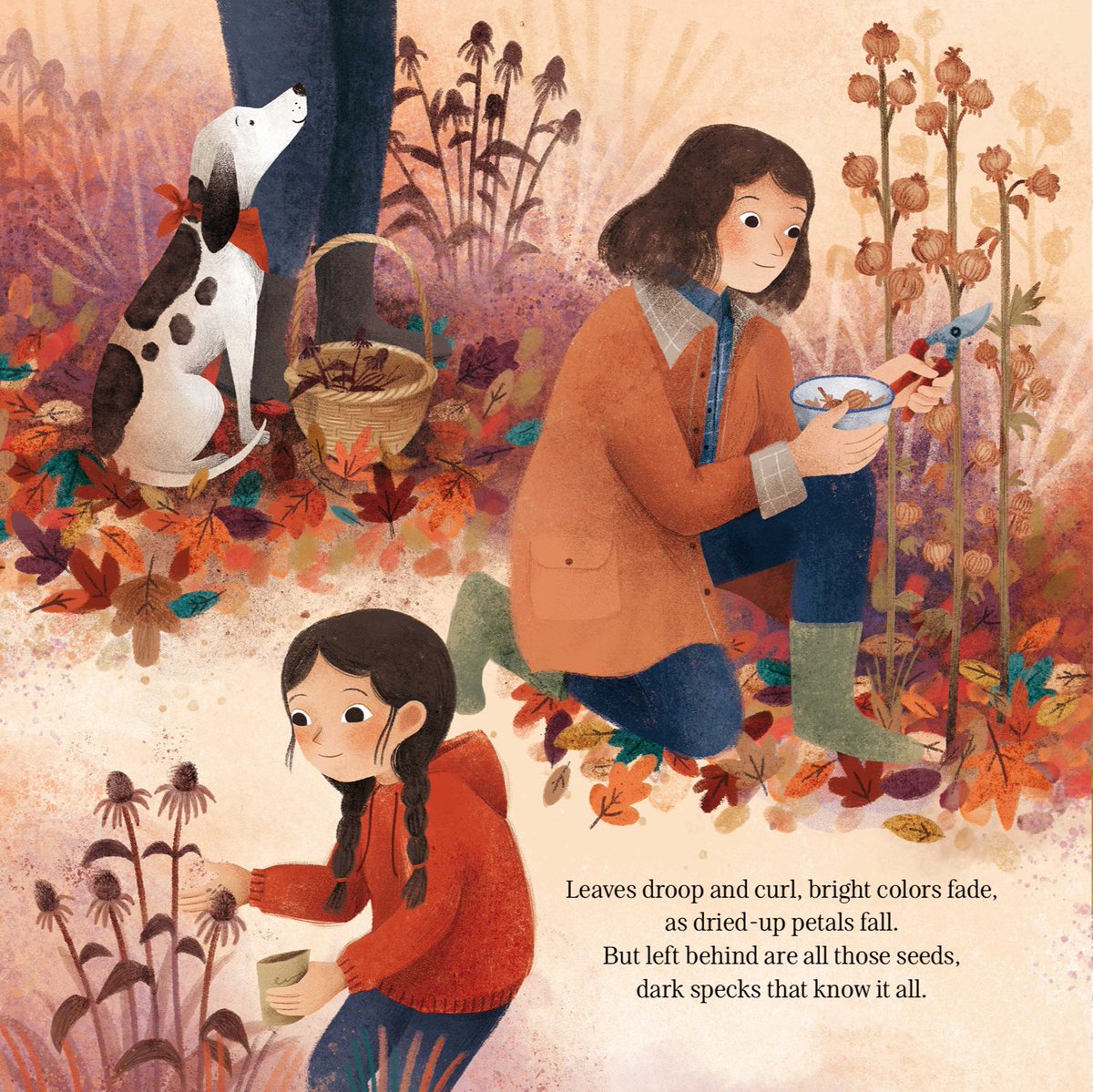 Sleeping Bear Press (@sleepingbearbks) on Twitter photo A gardening family works together to bring a backyard to full bloom. Readers are taken through each step, from planting in the spring to harvesting in the fall🌷
“Every Little Seed” by Cynthia Schumerth and <a href="/elisaupsidedown/">Elisa Paganelli</a> is out now at tinyurl.com/36dt98dc! A gardening family works together to bring a backyard to full bloom. Readers are taken through each step, from planting in the spring to harvesting in the fall🌷
“Every Little Seed” by Cynthia Schumerth and <a href="/elisaupsidedown/">Elisa Paganelli</a> is out now at tinyurl.com/36dt98dc!