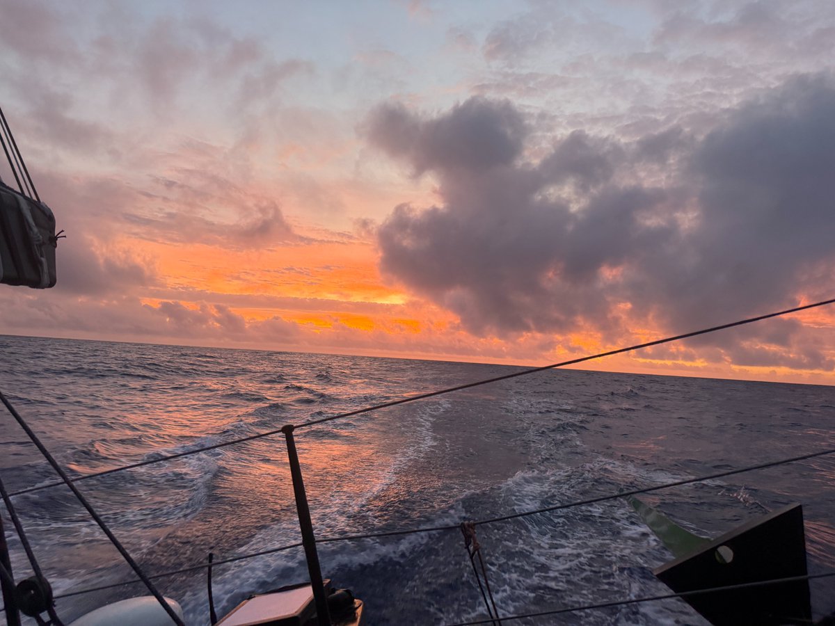 ✨ Et ce n'est pas fini !

Eh oui, Benjamin a réservé des clichés exclusifs de son Vendée Globe ! Place maintenant aux images inédites que l’équipe a pu récupérer à son arrivée.

Et vous, quelle est votre photo favorite ? 📸