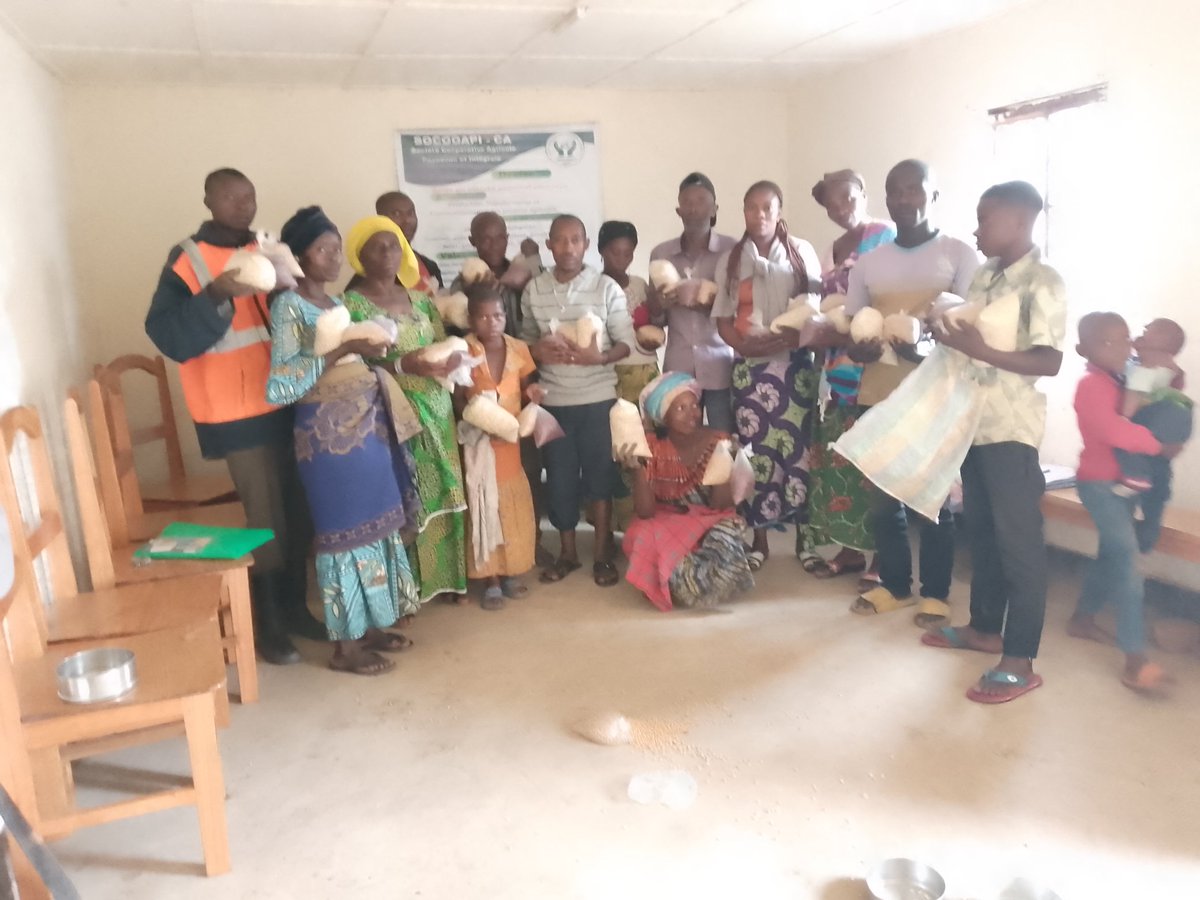 socooapirdc's tweet photo. La SOCOOAPI-CA fait une distribution des semences: soja, haricots et maïs aux femmes et jeunes fournisseurs de café à la Coopérative dans le cadre d'accompagnement agricole. https://t.co/qD6qnLeGNV
