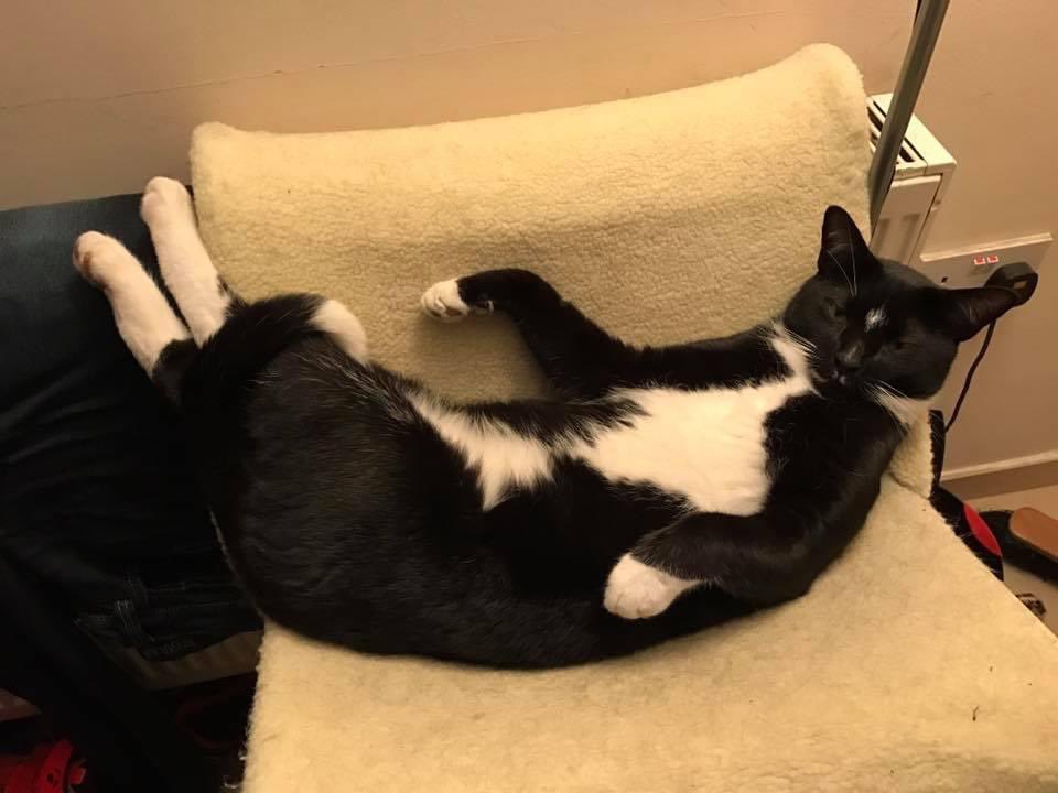 Becky Beach tweet media