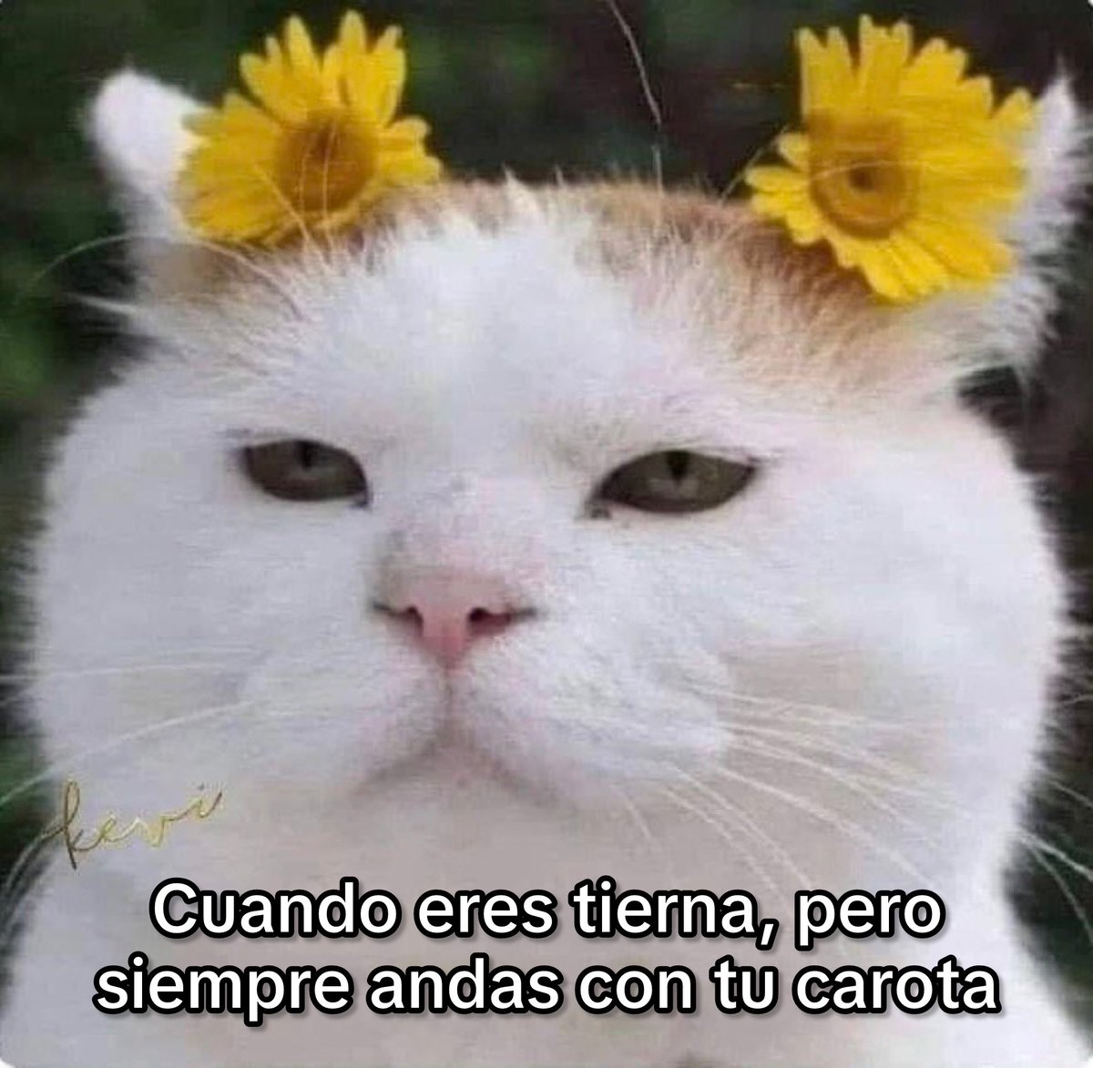 Guarromantico_'s tweet photo. Conozco. https://t.co/eUGeKn3ehE