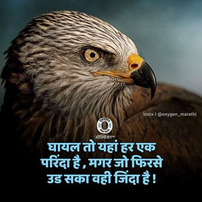 This article is a valuable addition to the literature on this subject. Your advice is a compass in my journey. Thanks, my friend. Karla Wysinger