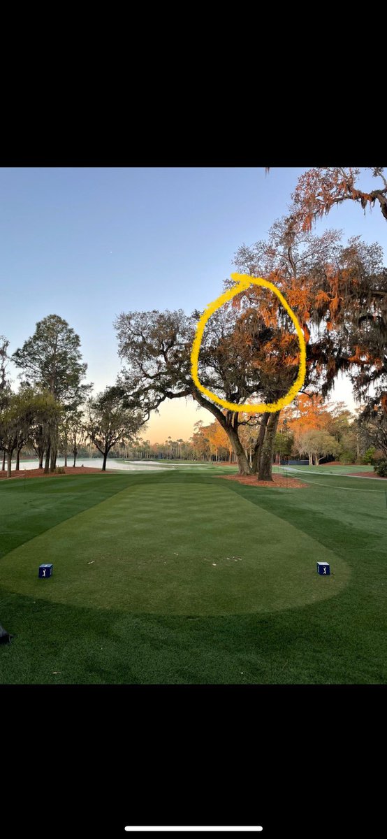 Chance Caylor tweet media