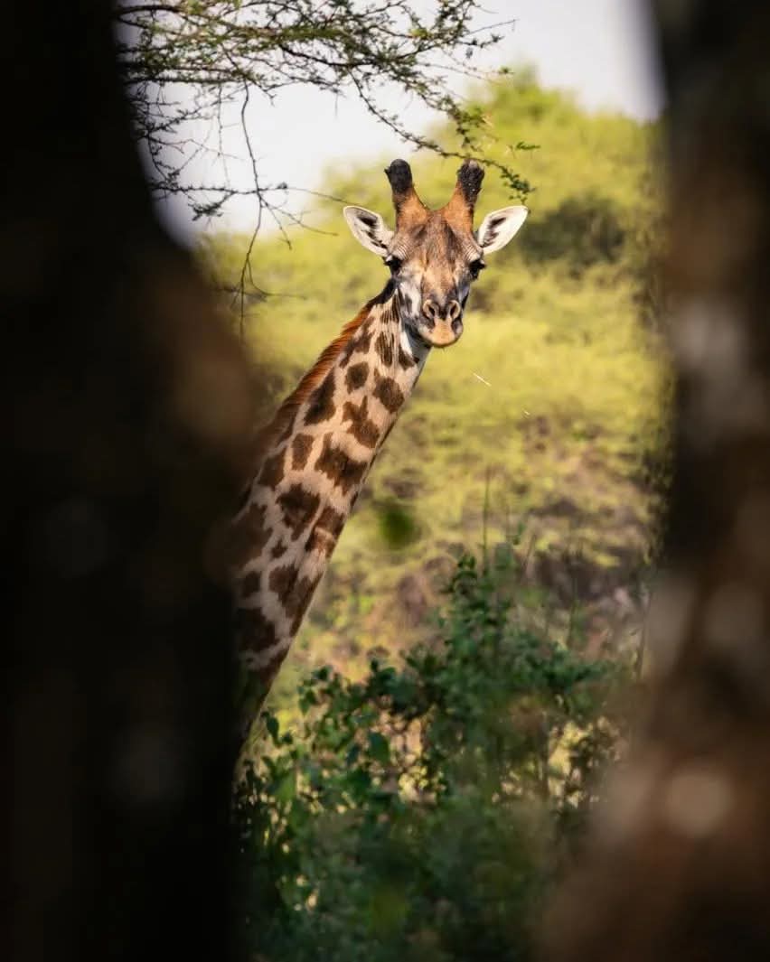 EXPERIENCE ZANZIBAR TOURS AND SAFARIS (@ezanzibar) on Twitter photo 