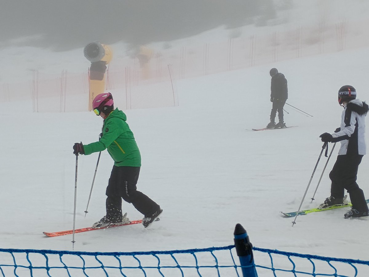 KNGS_ski tweet media