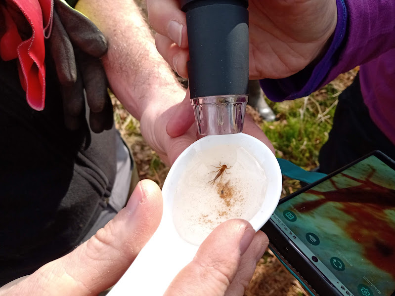 BDS Scotland tweet media