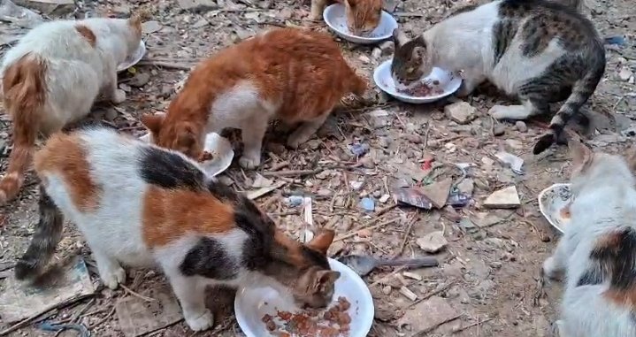 All thanks &amp; appreciation to all who contributed to buying this flour bag bag. We feel a bit safe, but unfortunately, we're still in dire need of buying &amp; storing water, especially since it has become scarce &amp; its price is very high after the desalination plant stopped working