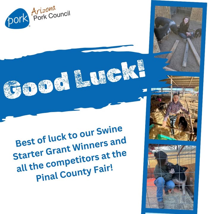 Congratulations to our Swine Starter Grant Winners competing at the Pinal County Fair. We wish you and all the competitors good luck in the ring this week!